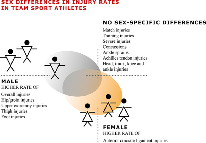 Image, graphical abstract