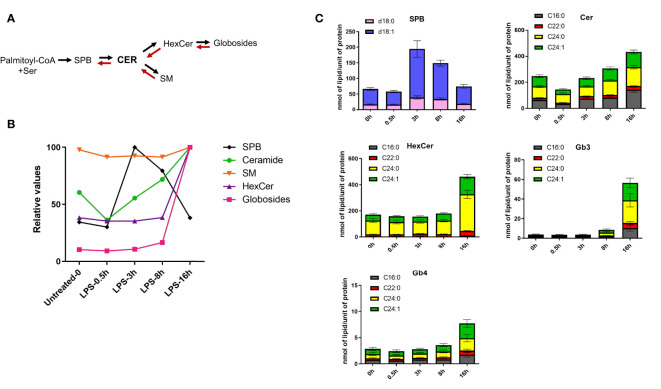 Figure 3