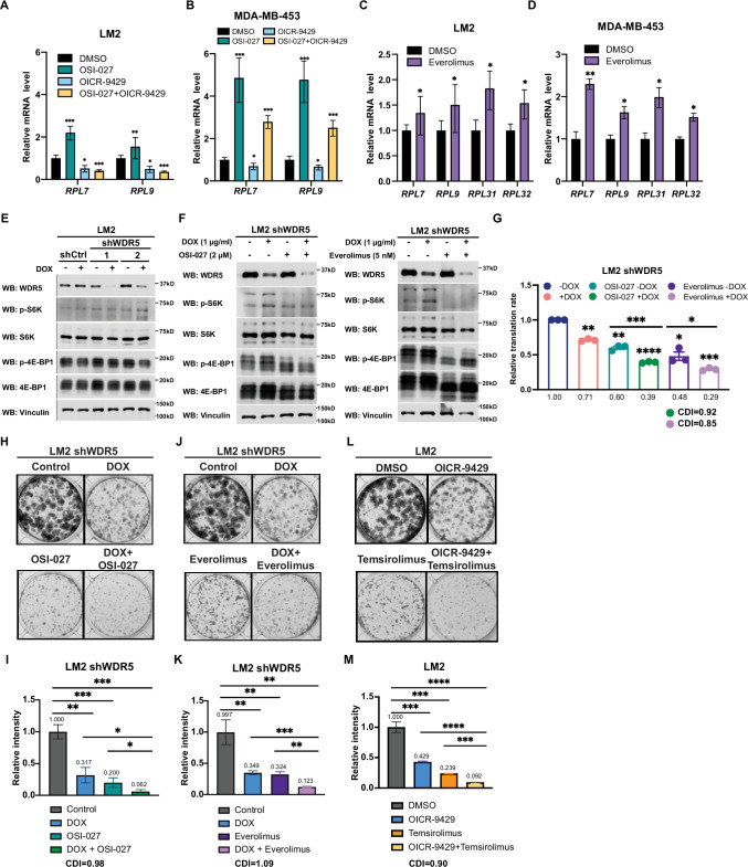 Figure 6—figure supplement 1.