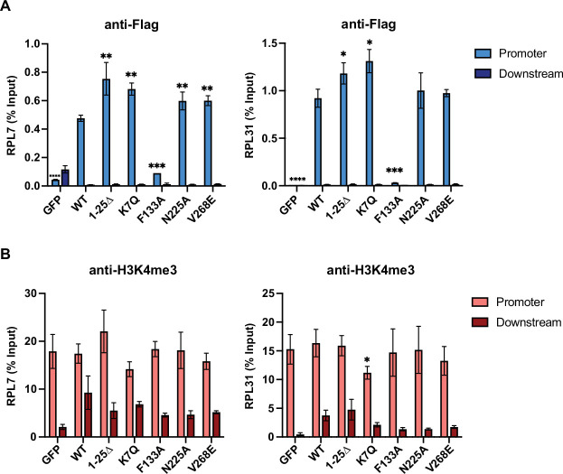 Figure 4—figure supplement 1.