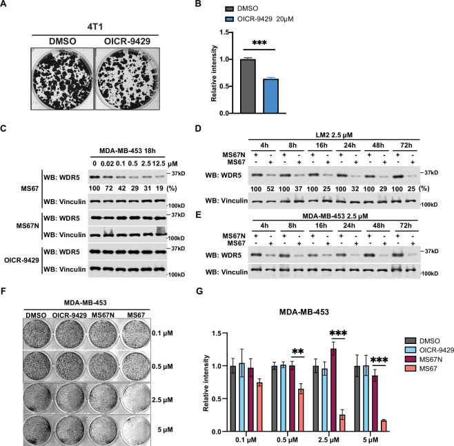 Figure 2—figure supplement 1.