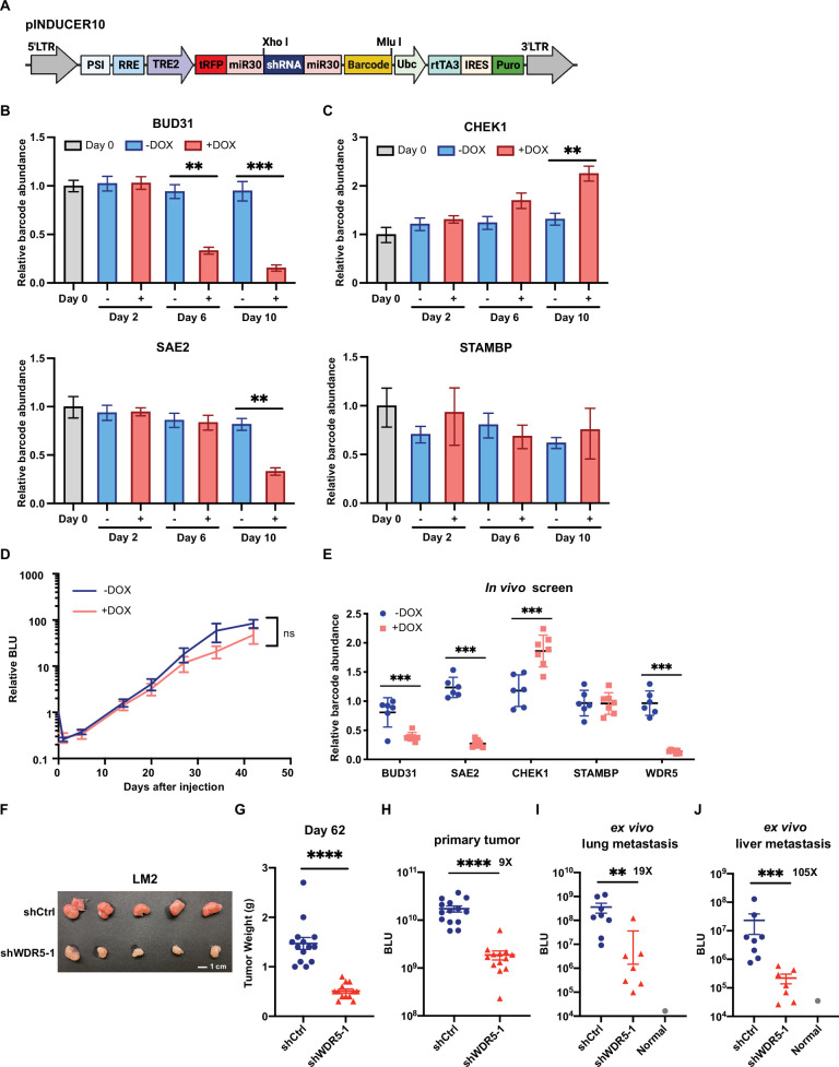 Figure 1—figure supplement 1.