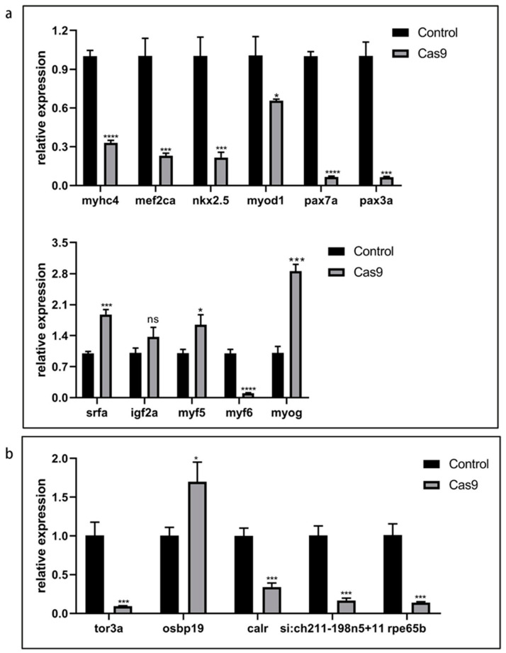 Figure 5