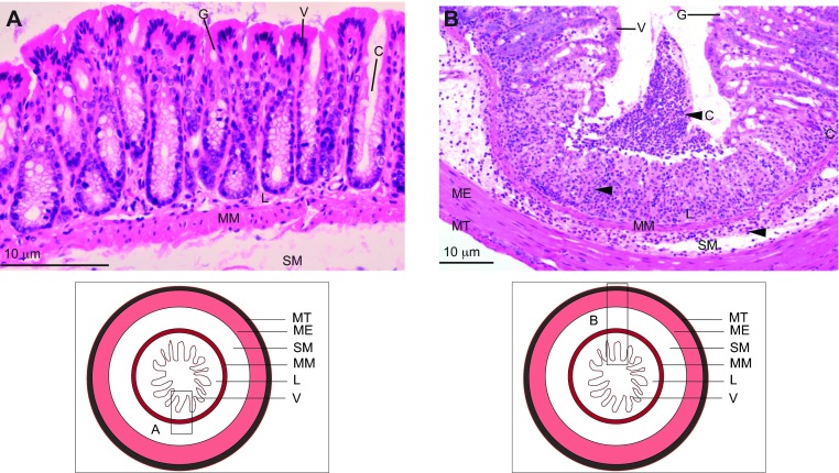 Fig. 4.