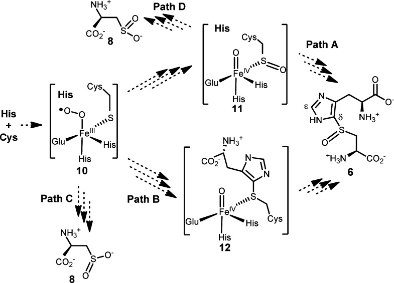 Scheme 3