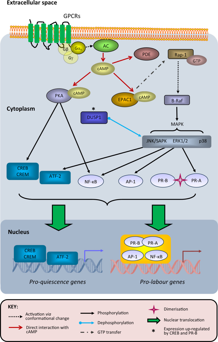 Figure 1.