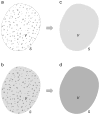 Fig. 13
