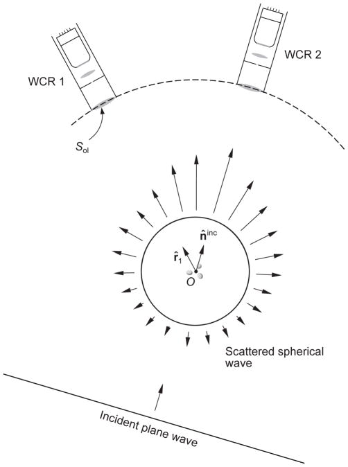 Fig. 10