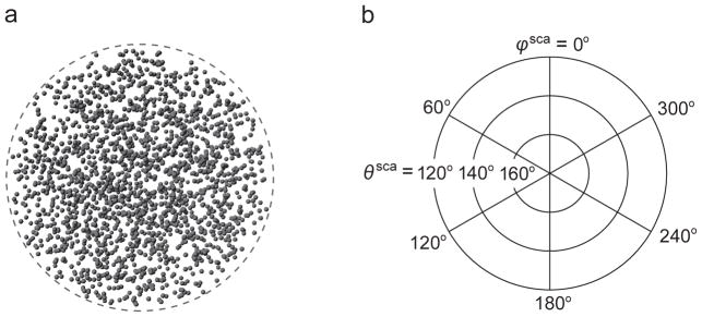 Fig. 19