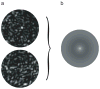 Fig. 20