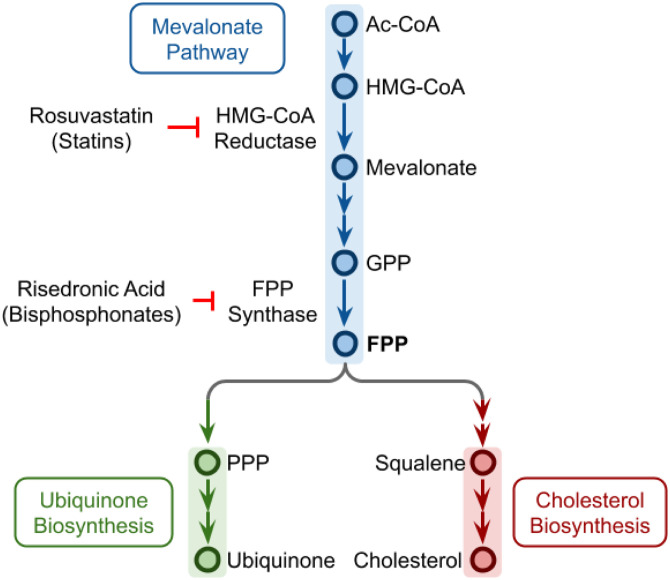 Figure 2: