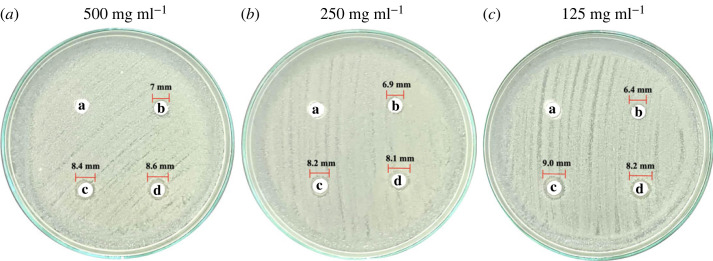 Figure 11. 