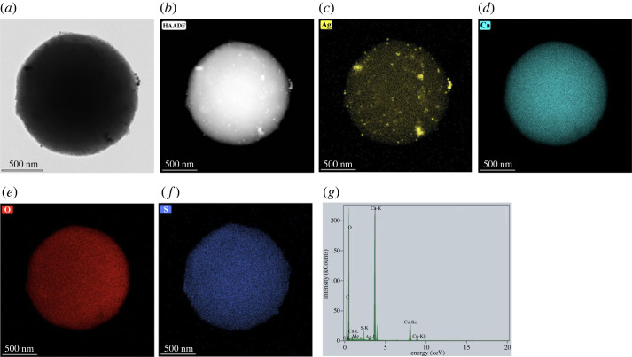 Figure 10. 