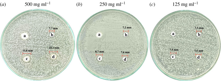 Figure 12. 