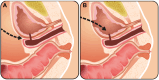 Figure 5