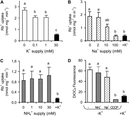 Figure 6.