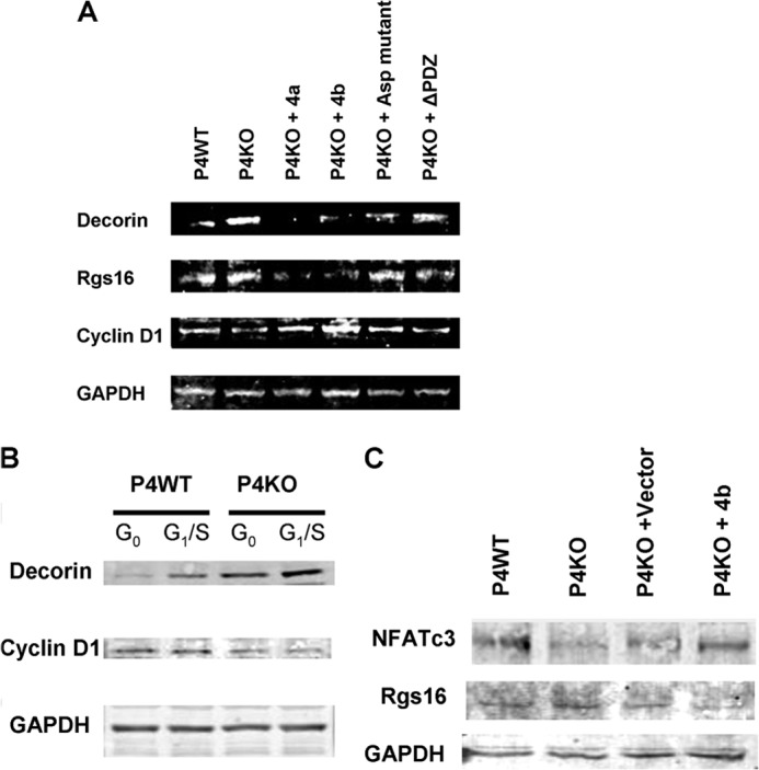 FIGURE 7.