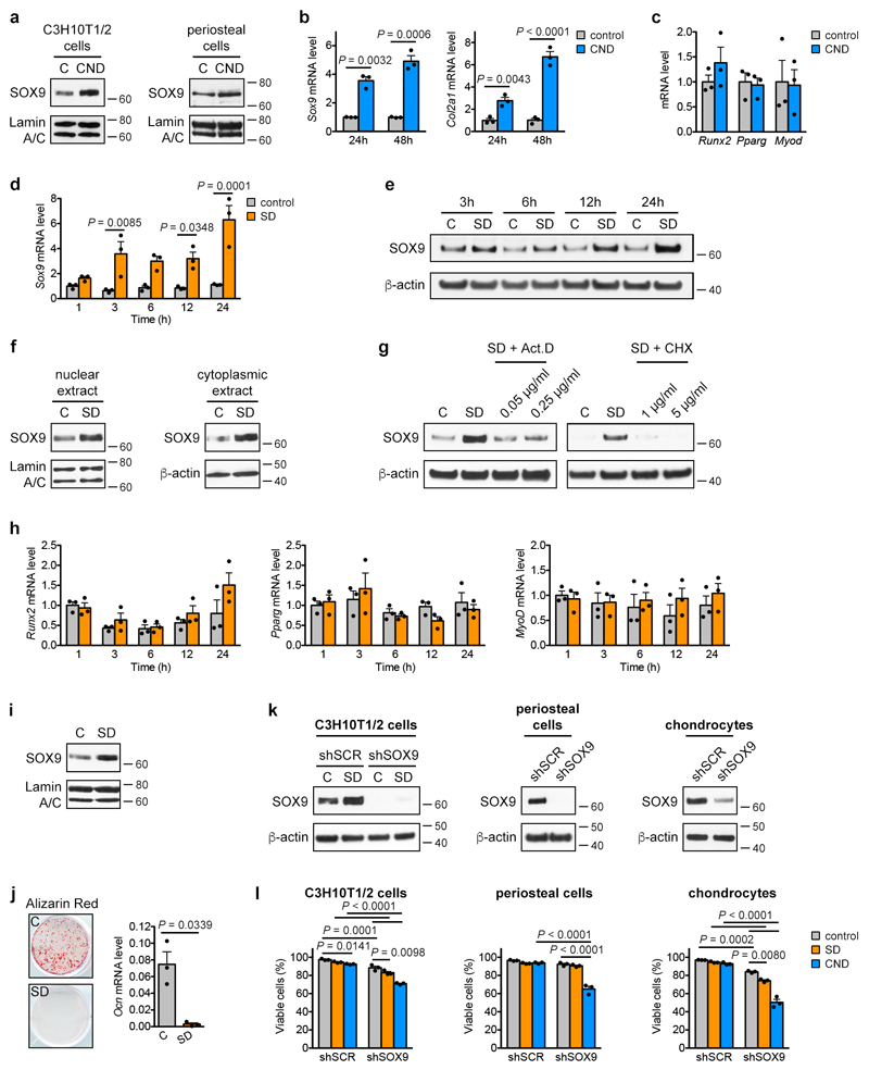 Extended Data Figure 4