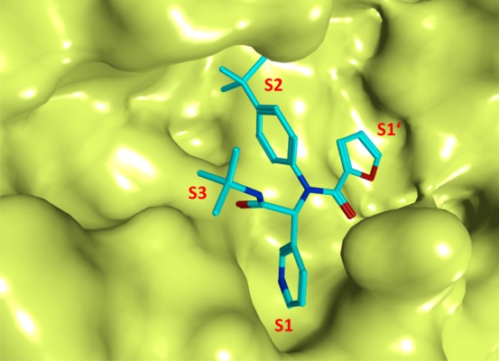 Figure 28