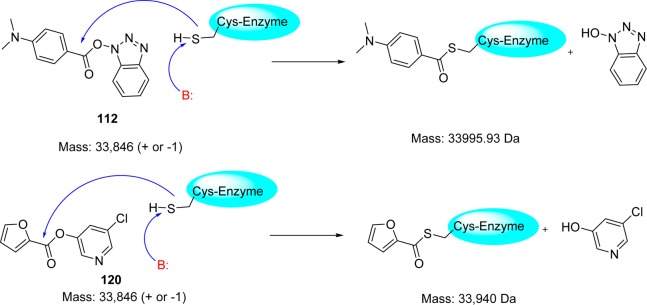 Figure 22