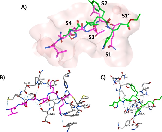 Figure 6