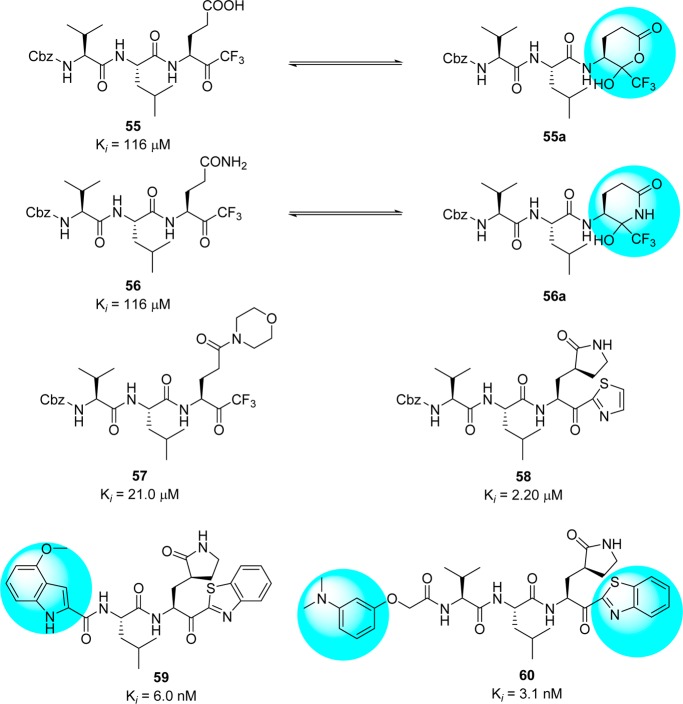 Figure 15