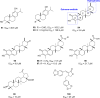 Figure 19