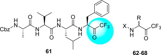 4.6.