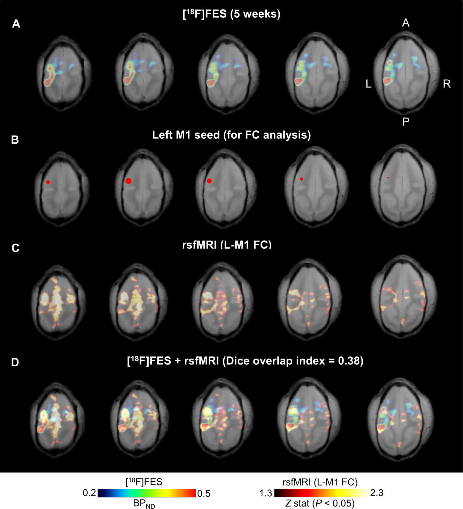 Fig. 7.