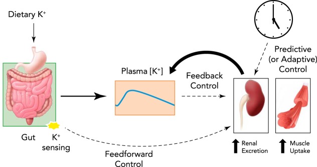 FIGURE 1.