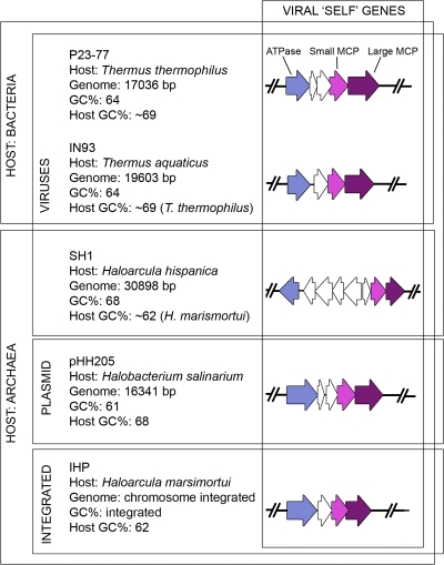 FIG. 6.