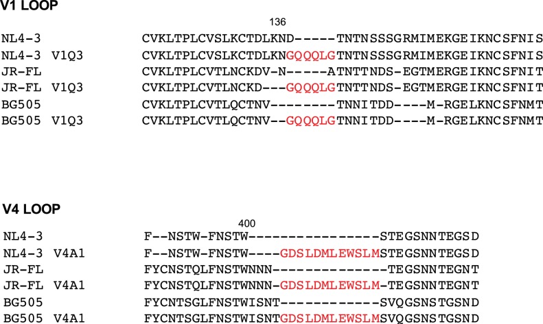 Figure 1—figure supplement 1.