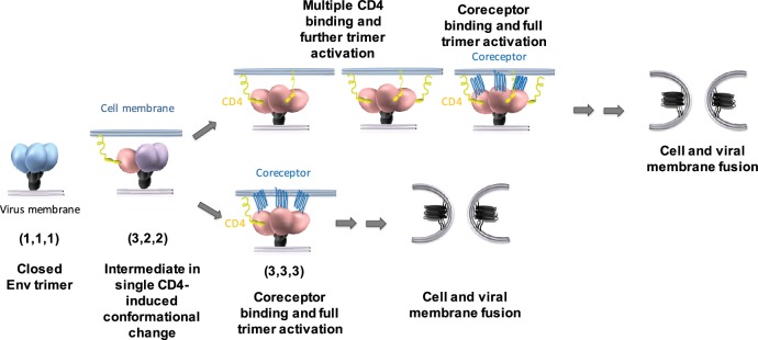 Figure 3—figure supplement 1.