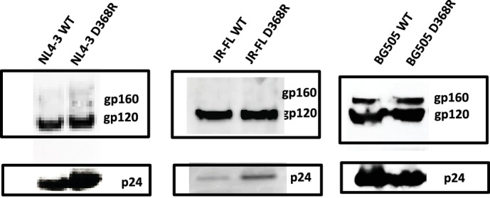 Figure 2—figure supplement 1.