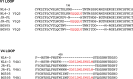 Figure 1—figure supplement 1.
