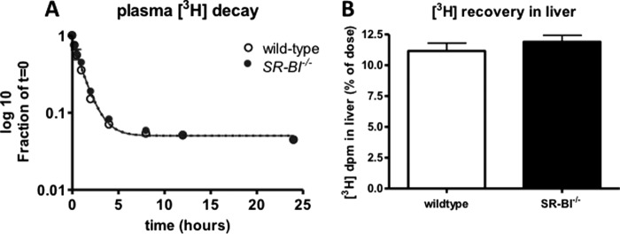 FIGURE 9.