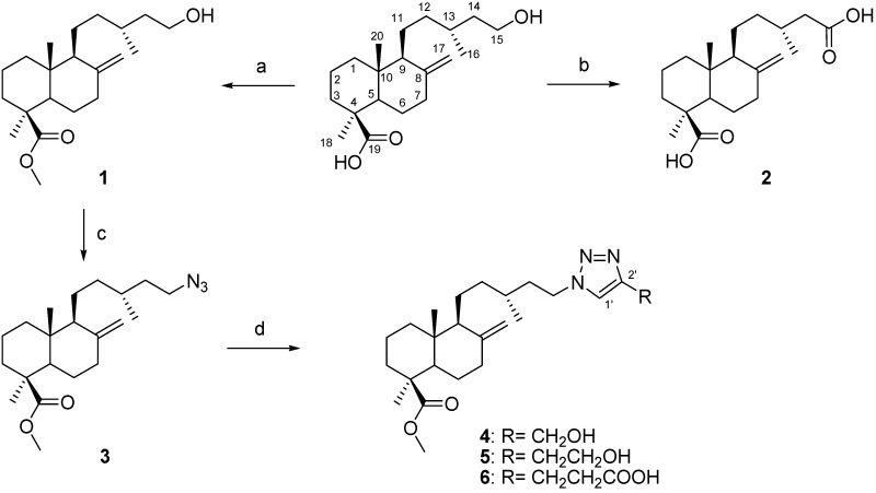 Scheme 1