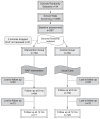 Figure 1)