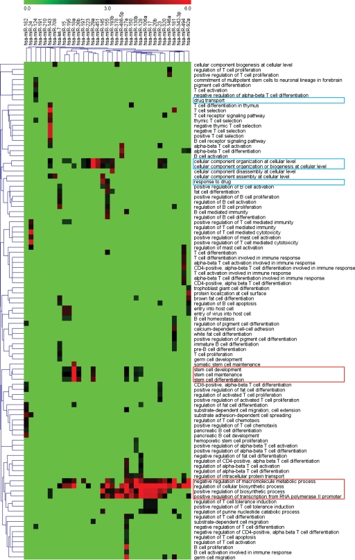 Figure 2.