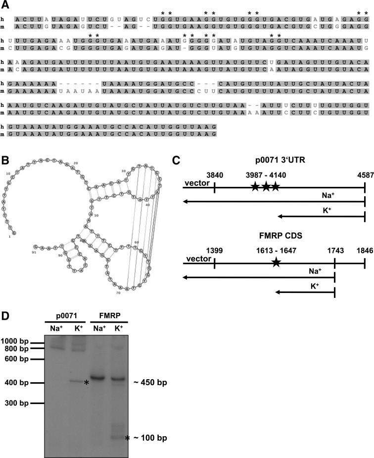 FIGURE 4.