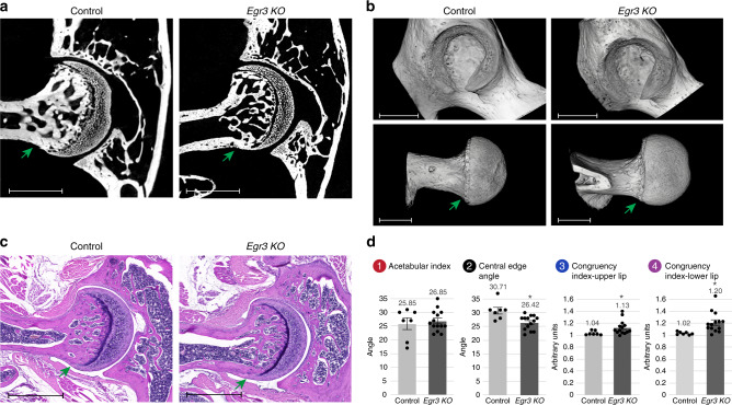 Fig. 9