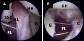 Fig 7