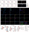 Extended Data Fig. 9