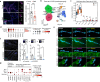 Extended Data Fig. 5