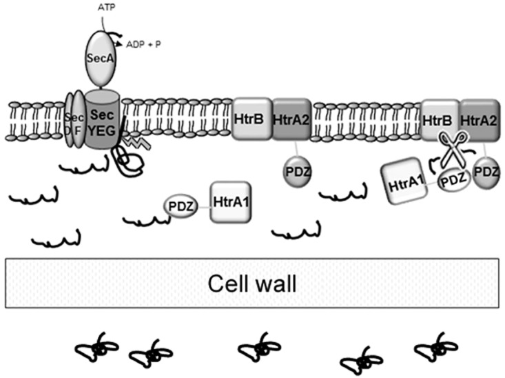 Fig 5