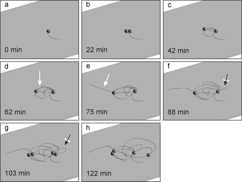 FIG. 3