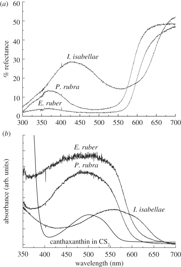 Figure 2.