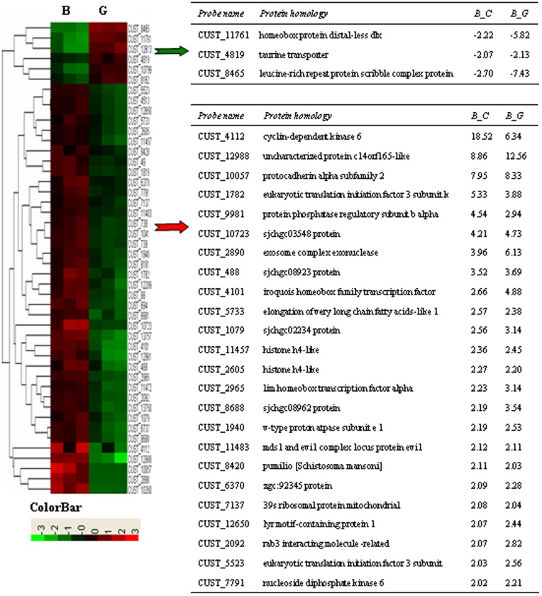 Figure 7