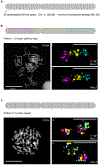 Fig. 4 |