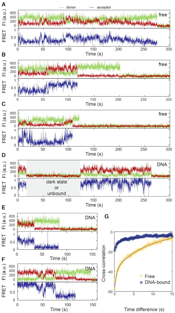 Figure 4.